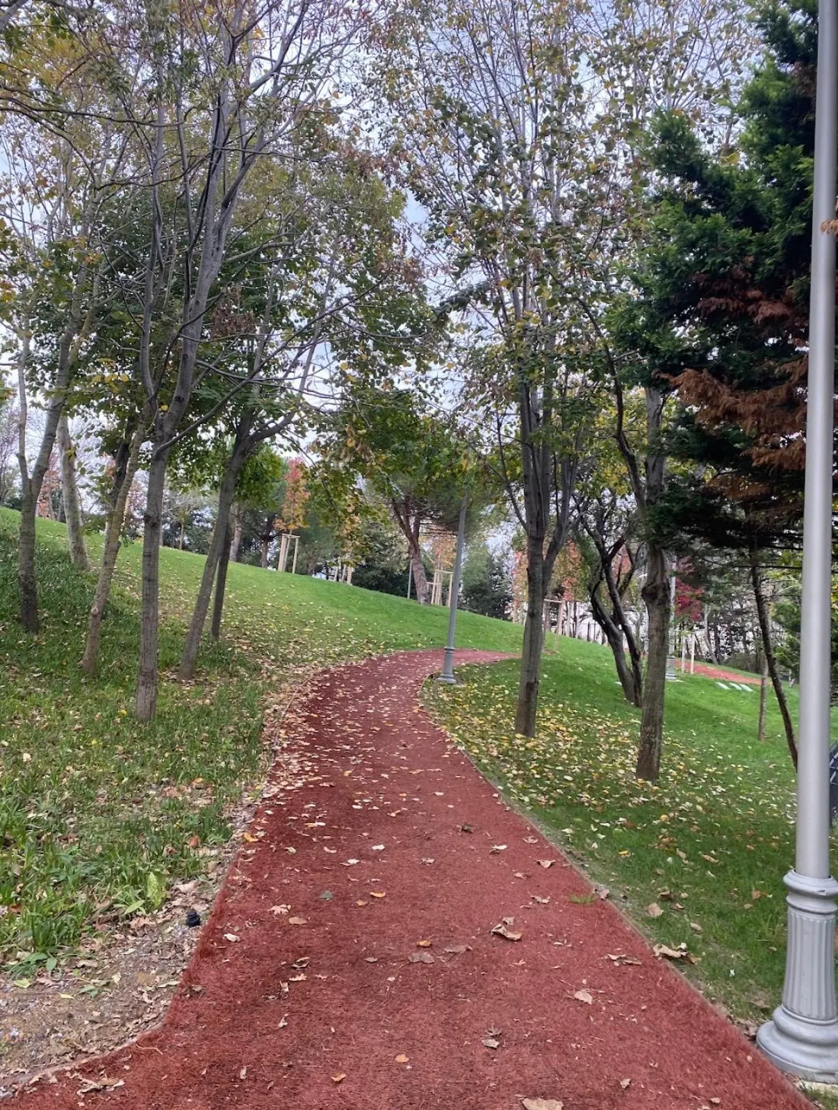 Beykoz Muhtar Hayrullah Ersayın Parkı - 5